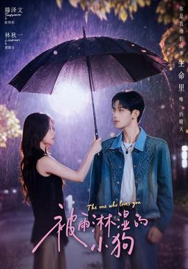 被雨淋湿的小狗(全集)