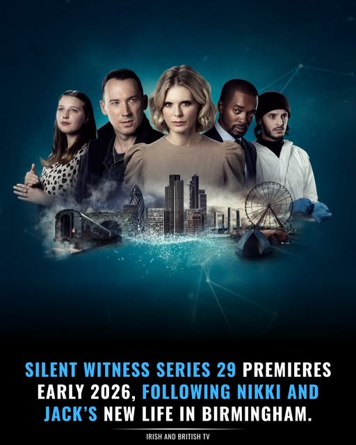 无声的证言第二十九季